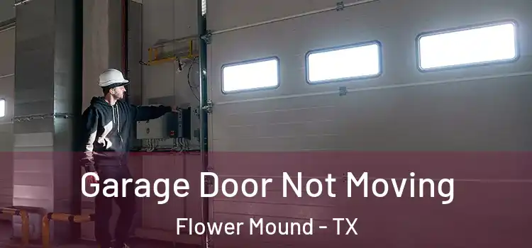  Garage Door Not Moving Flower Mound - TX
