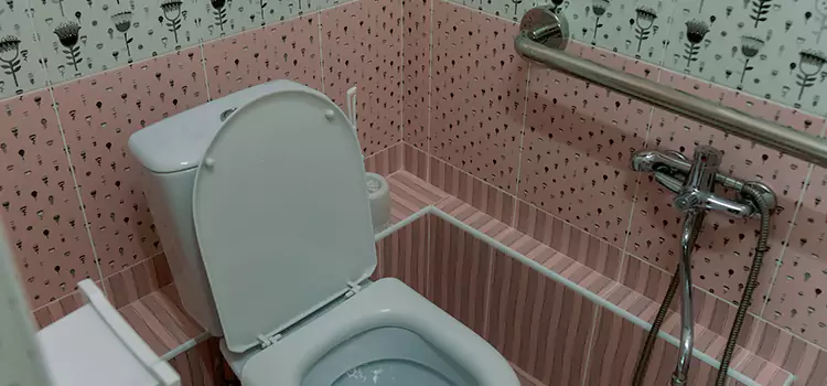 Meeting Diverse Needs With Accessible Restroom Solutions in Flower Mound, TX