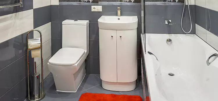 Hansgrohe Shaving Mirror Flower Mound